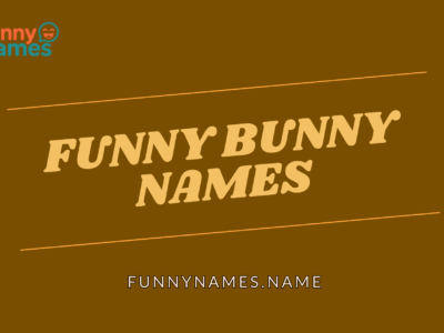 Funny Bunny Names