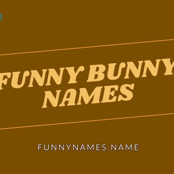 Funny Bunny Names
