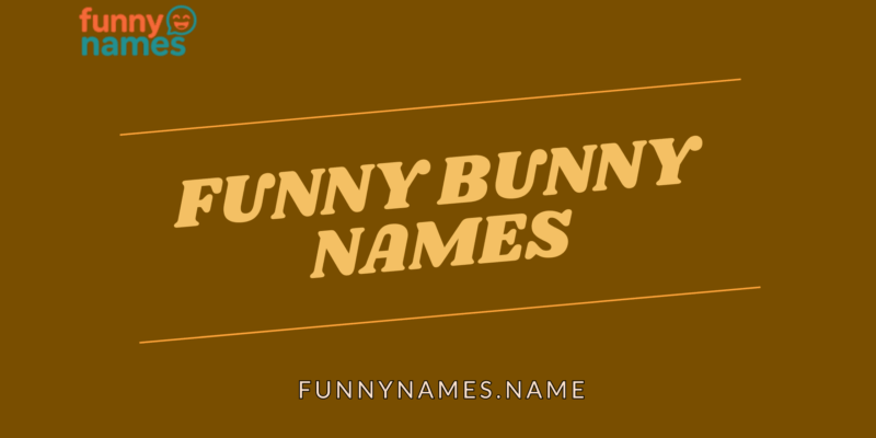 Funny Bunny Names