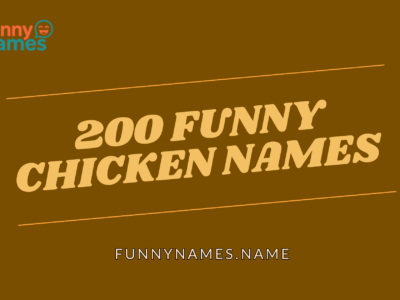200 Funny Chicken Names